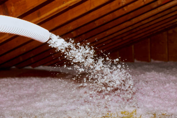 Best DIY Insulation Kits and Guidance in Dovesville, SC