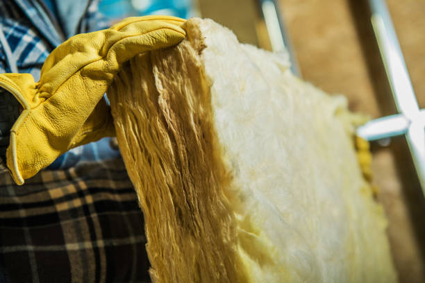 Types of Insulation We Offer in Dovesville, SC
