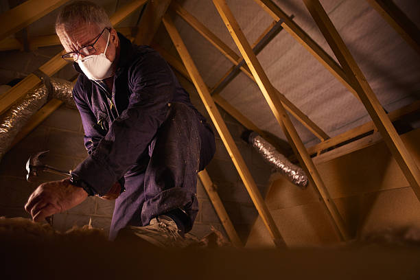Best Fiberglass Insulation in Dovesville, SC