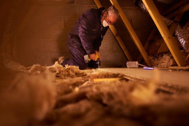 Best Cellulose Insulation in Dovesville, SC